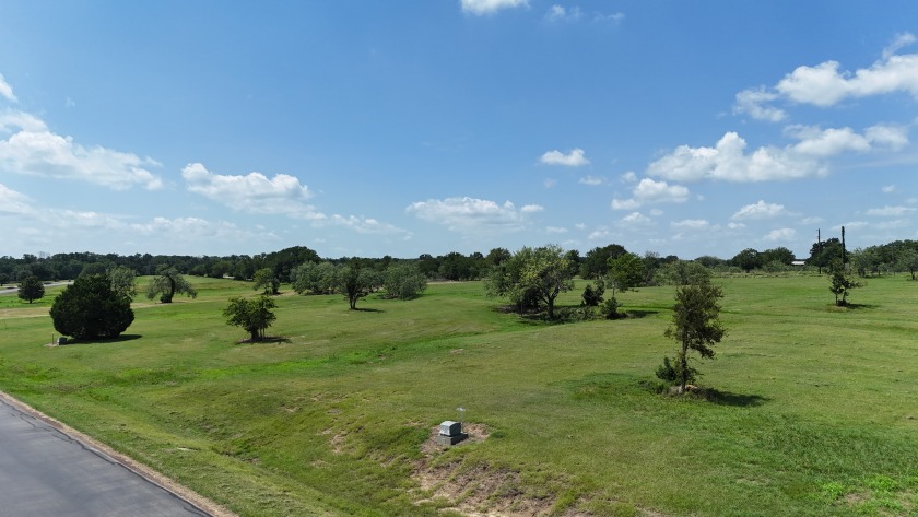 1.01 Acre Homesite in Lake Subdivision - Streetman, TX - photo 27
