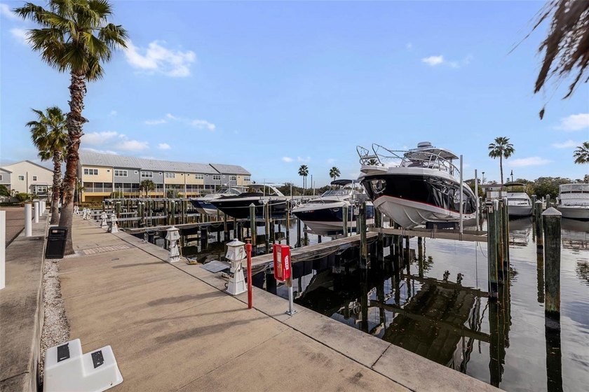 Life at The Cove at Loggerhead Marina feels different from the - photo 49