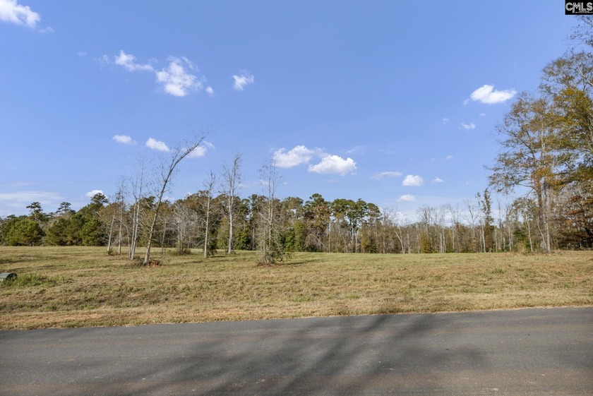 Come discover Woodside Shores, a refreshing new lakefront - photo 2