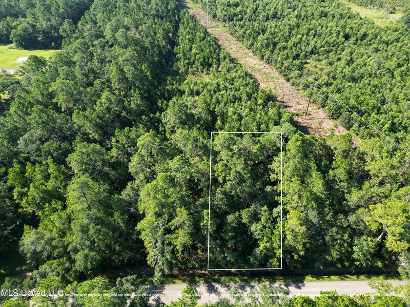 Discover 7.5 Acres in Bay St. Louis! Just 15 minutes from the - photo 3