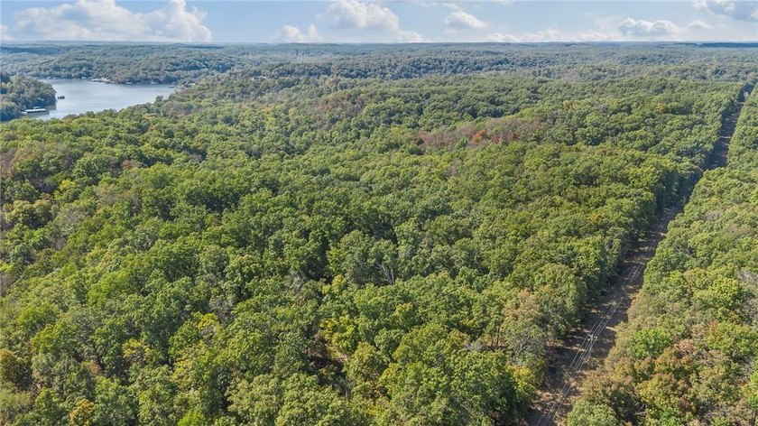 Nearly 80 acres of Lake of the Ozarks land in Gravois Mills, MO - photo 6