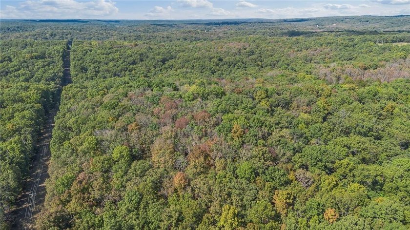 Nearly 80 acres of Lake of the Ozarks land in Gravois Mills, MO - photo 7