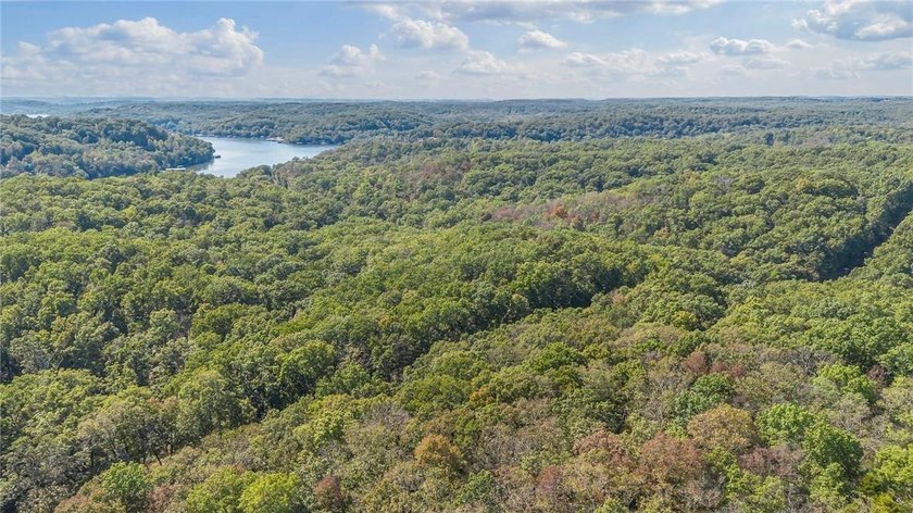 Nearly 80 acres of Lake of the Ozarks land in Gravois Mills, MO - photo 9