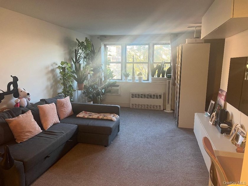 Beautiful Large, L Shaped Studio co-op, with sleeping alcove - photo 7