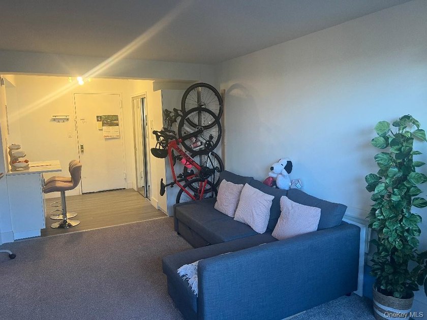 Beautiful Large, L Shaped Studio co-op, with sleeping alcove - photo 10