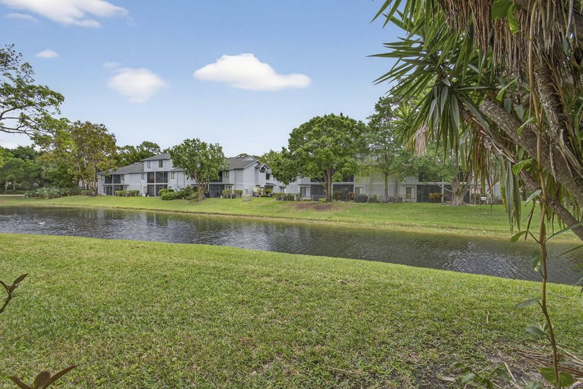 Discover resort-style living in this beautifully renovated - photo 22