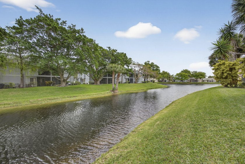 Discover resort-style living in this beautifully renovated - photo 26