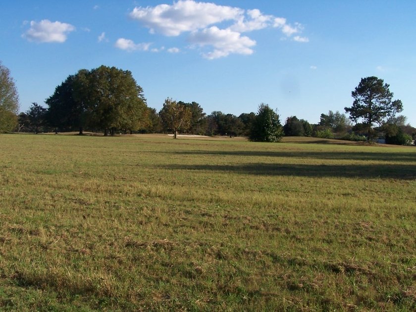 Here's a professional description for the real estate land - photo 2
