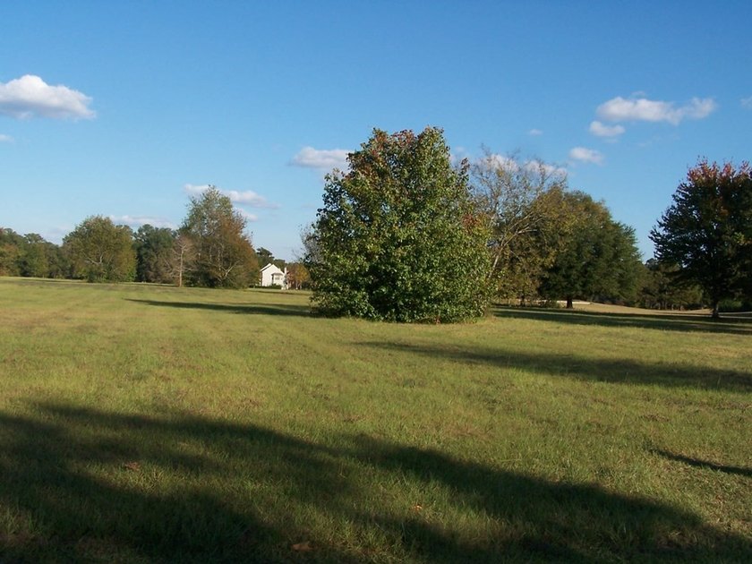 Here's a professional description for the real estate land - photo 3