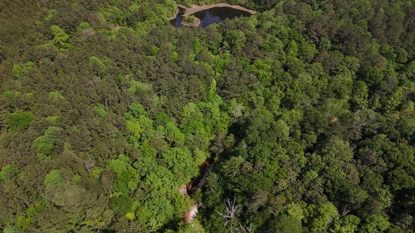 Located near Neely, Mississippi, this diverse hunting property - photo 12