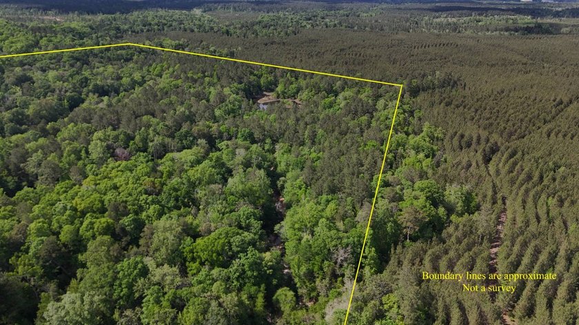 Located near Neely, Mississippi, this diverse hunting property - photo 15