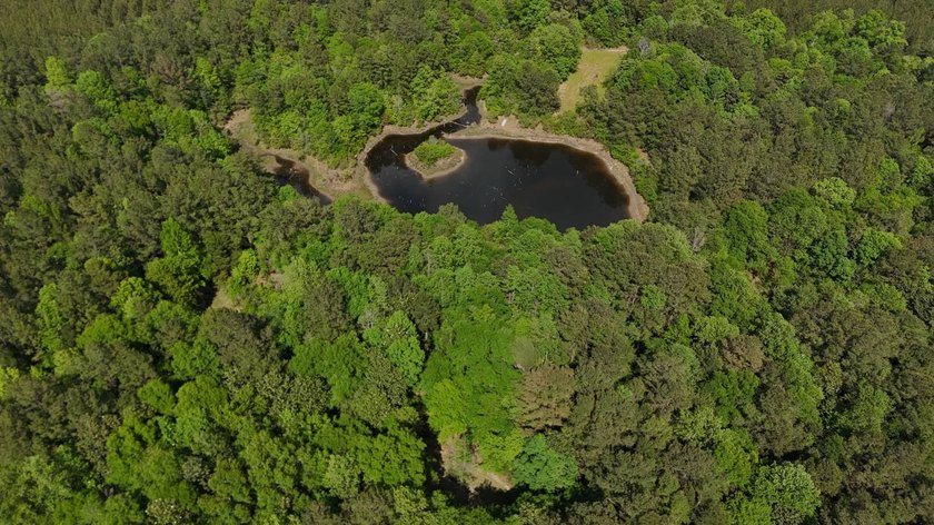 Located near Neely, Mississippi, this diverse hunting property - photo 16