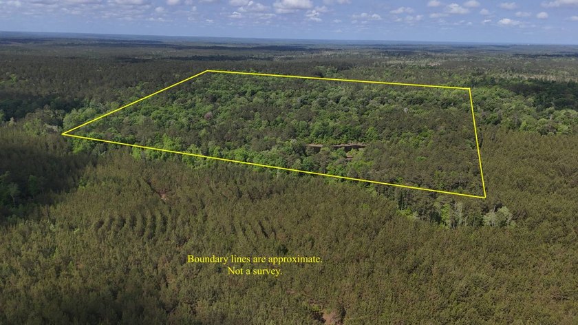 Located near Neely, Mississippi, this diverse hunting property - photo 18