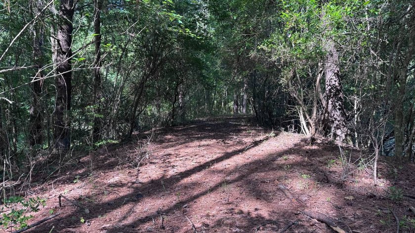 Located near Neely, Mississippi, this diverse hunting property - photo 20