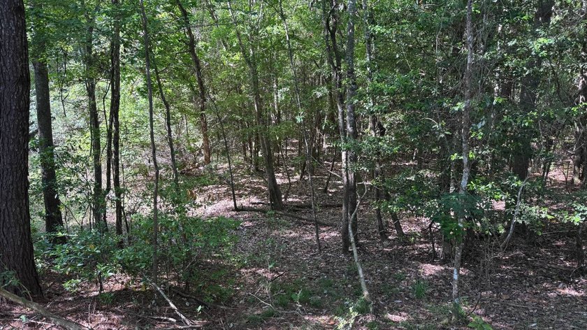 Located near Neely, Mississippi, this diverse hunting property - photo 22