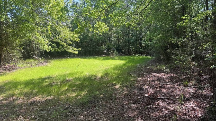 Located near Neely, Mississippi, this diverse hunting property - photo 25