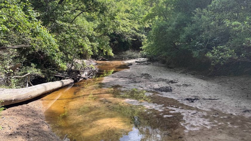 Located near Neely, Mississippi, this diverse hunting property - photo 27
