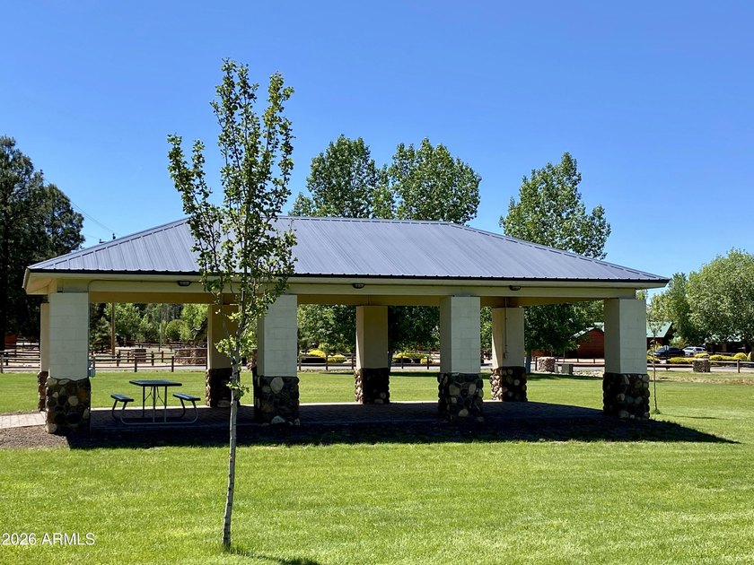 Escape to the Mountains in this cozy 2-bed, 1-bath furnished - photo 29