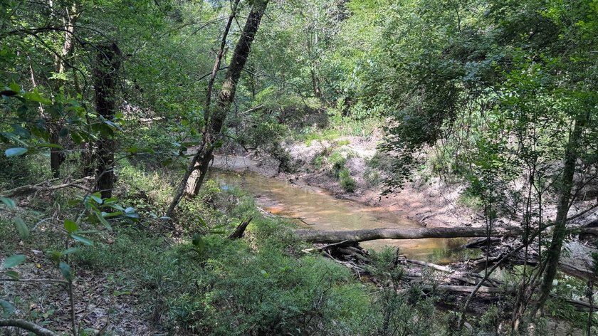 Located near Neely, Mississippi, this diverse hunting property - photo 31