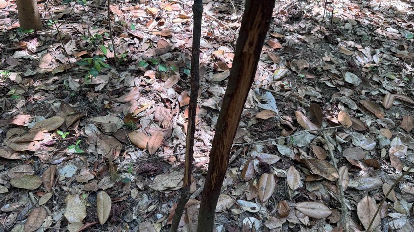 Located near Neely, Mississippi, this diverse hunting property - photo 32