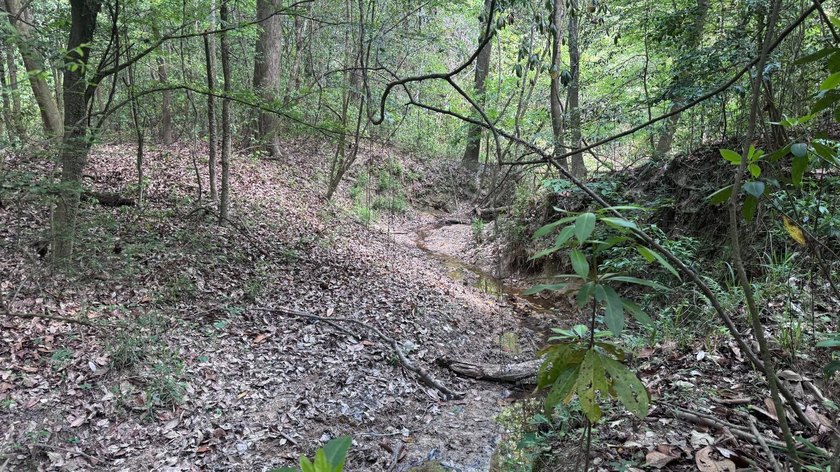 Located near Neely, Mississippi, this diverse hunting property - photo 36