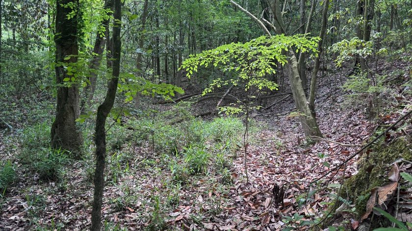 Located near Neely, Mississippi, this diverse hunting property - photo 37