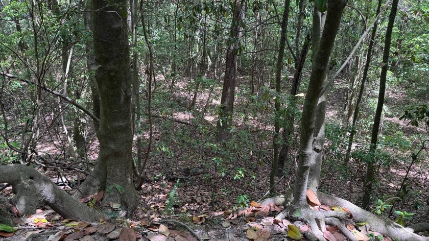 Located near Neely, Mississippi, this diverse hunting property - photo 39