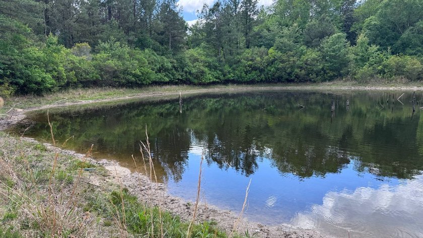 Located near Neely, Mississippi, this diverse hunting property - photo 47