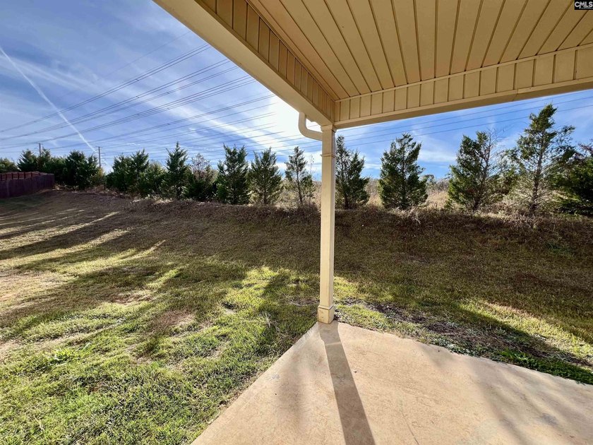 Shoals Landing is a gated community in Irmo.Flooring includes - photo 26