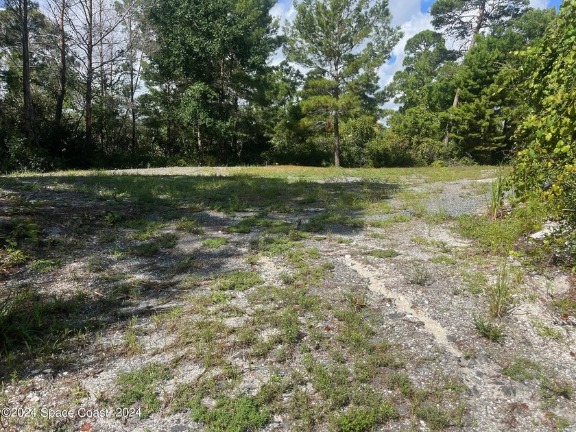 This 2.45 Industrial lot is cleared and has a foundation of - photo 9