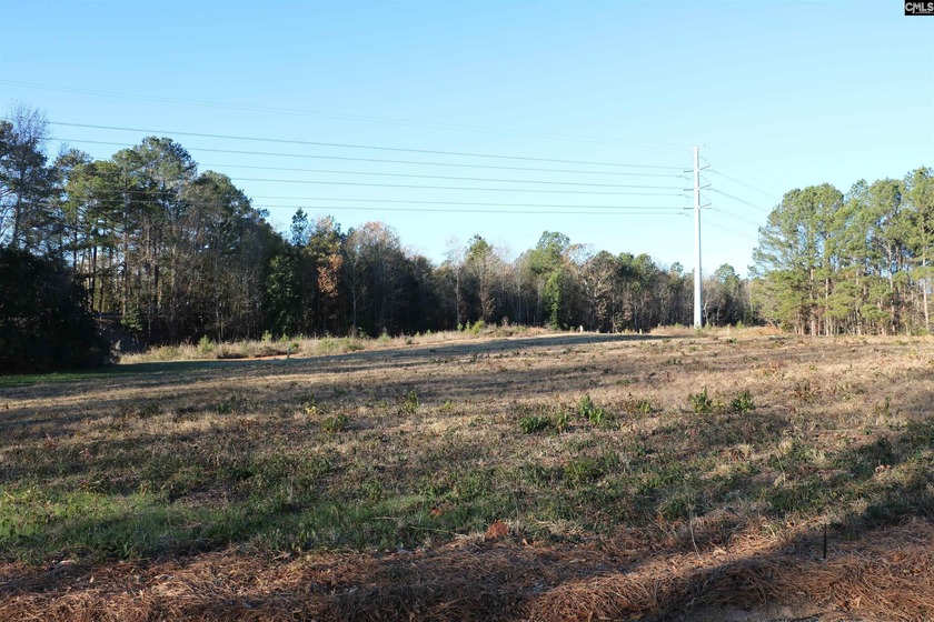 Prime 1.25 acre commercial or residential corner lot property - photo 2