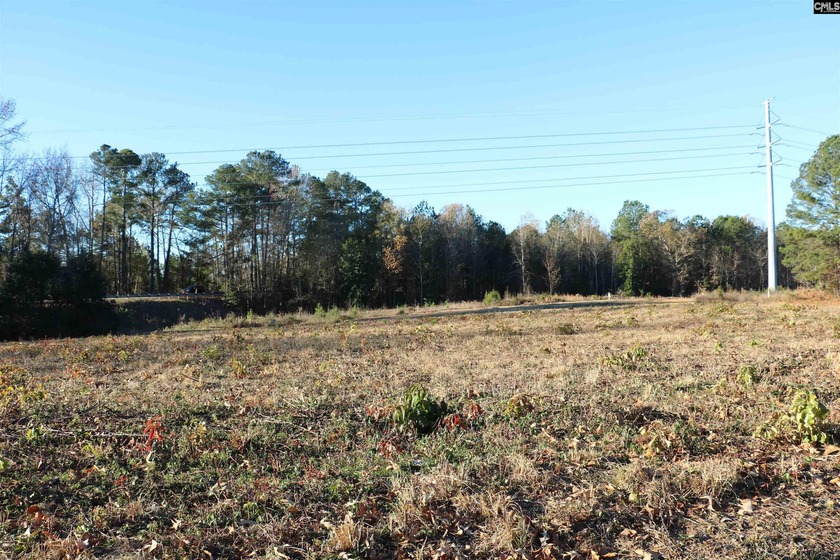 Prime 1.25 acre commercial or residential corner lot property - photo 3