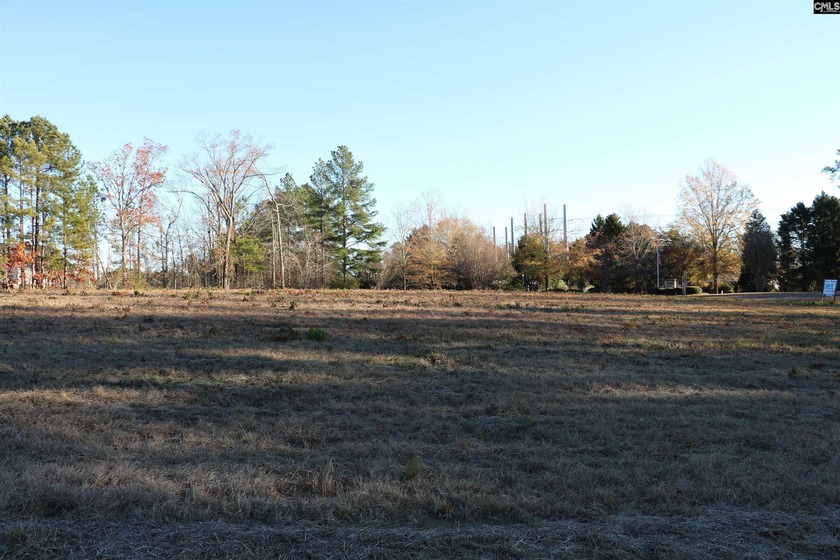 Prime 1.25 acre commercial or residential corner lot property - photo 5