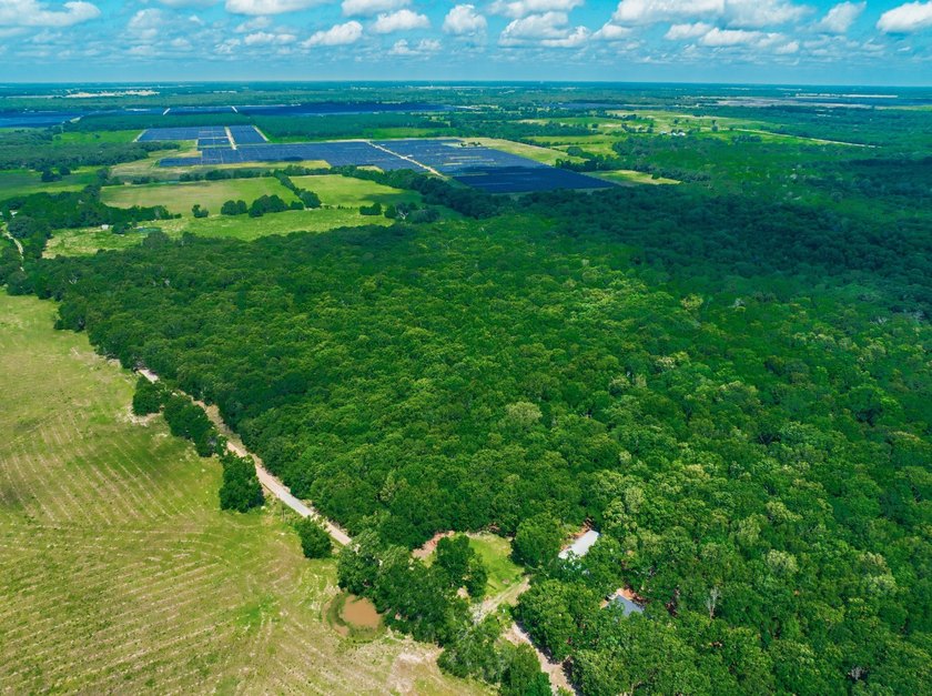 Escape to your own private East Texas retreat at 104 County Road - photo 11