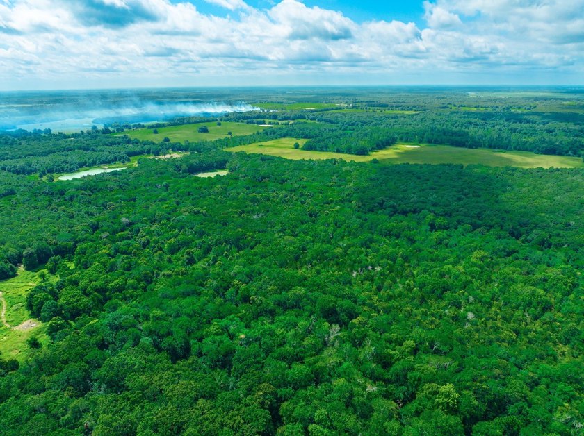 Escape to your own private East Texas retreat at 104 County Road - photo 12