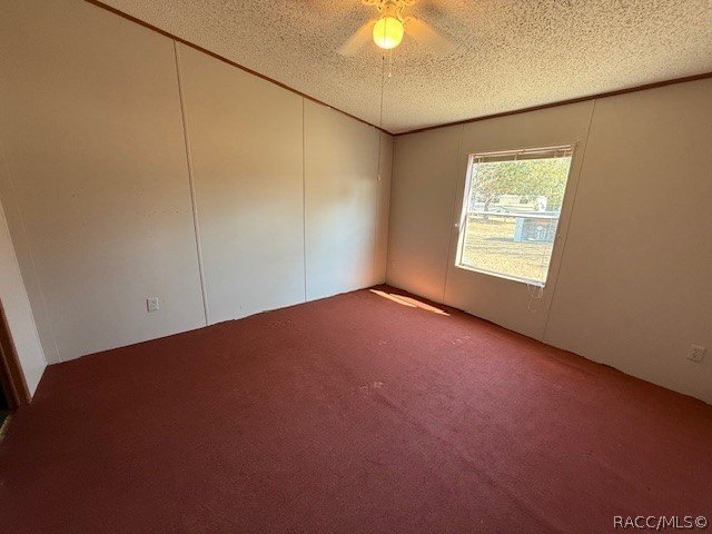 Discover the potential of this 4 bedroom, 2 bathroom - photo 15