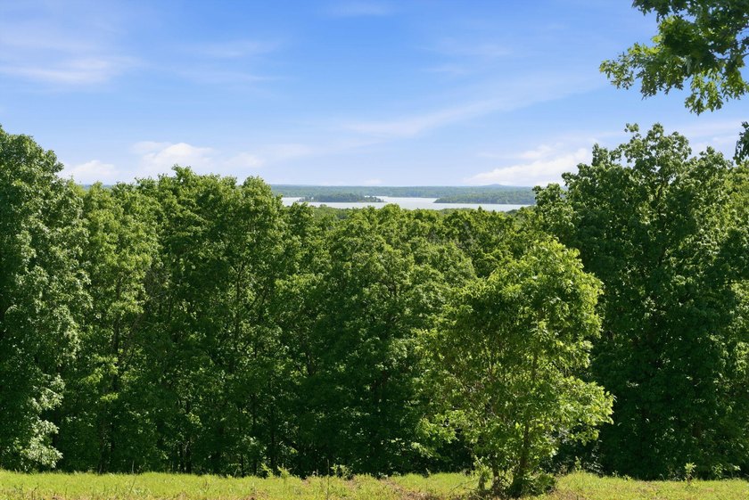 The only true lake view tract currently on the market at - photo 3