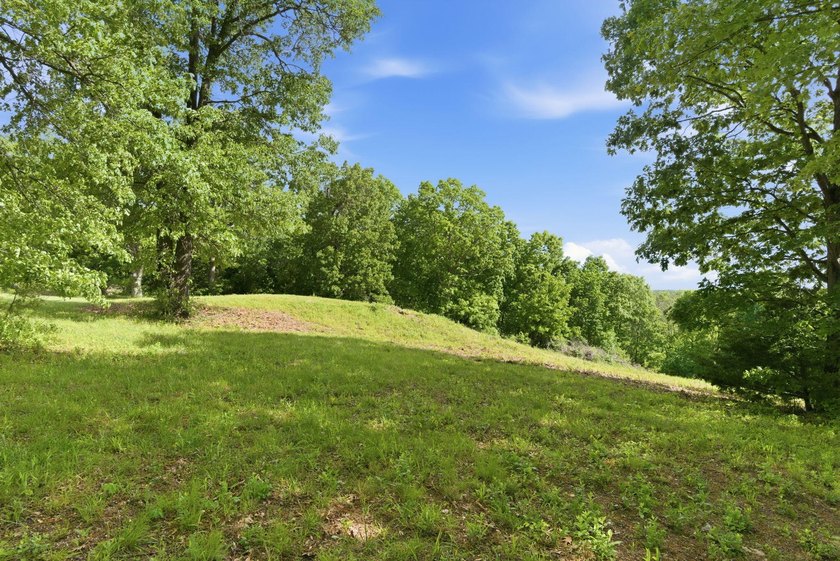 The only true lake view tract currently on the market at - photo 4