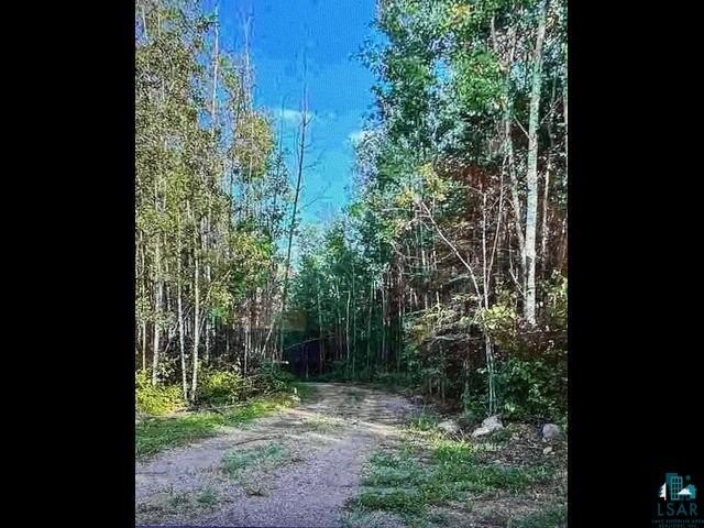 Beautiful Embarrass Lake! Watch the sunrise from this high lot! - photo 7