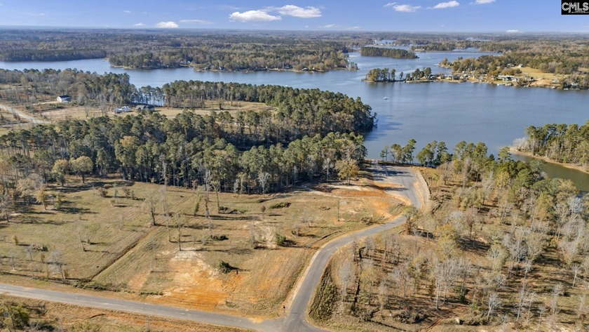 Come discover Woodside Shores, a refreshing new lakefront - photo 3