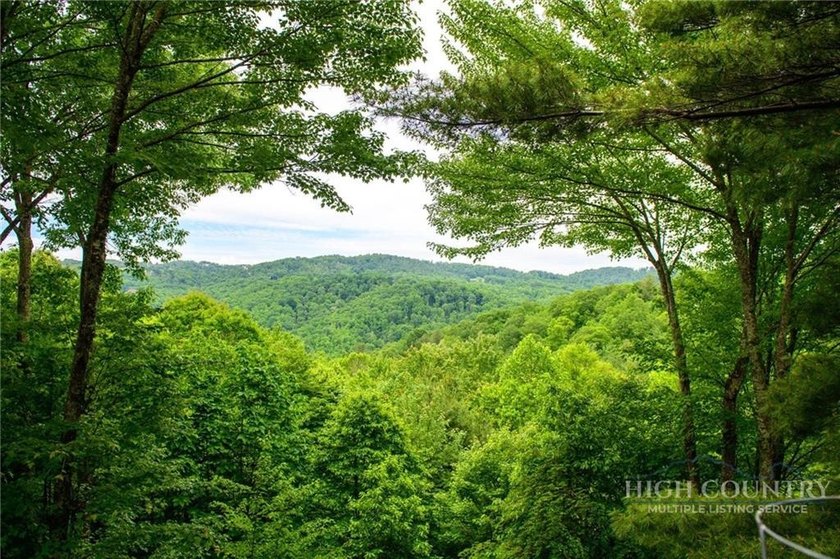 Magnificent home embraced by rhododendrons and hardwood trees - photo 42