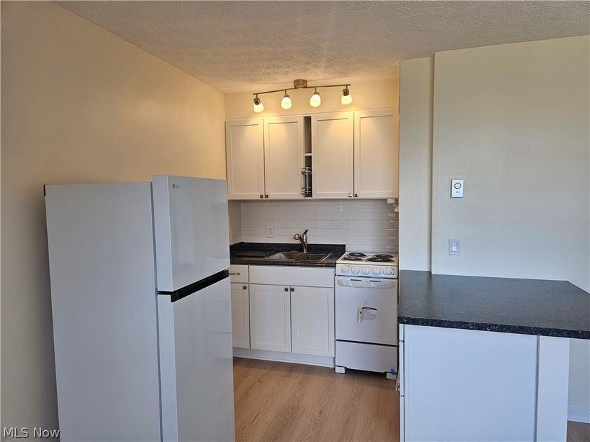 Recently remodeled throughout, this unit offers everything you - photo 4