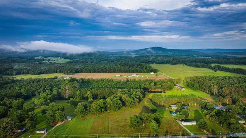 Discover 13.22 unrestricted acres with endless possibilities! - photo 2