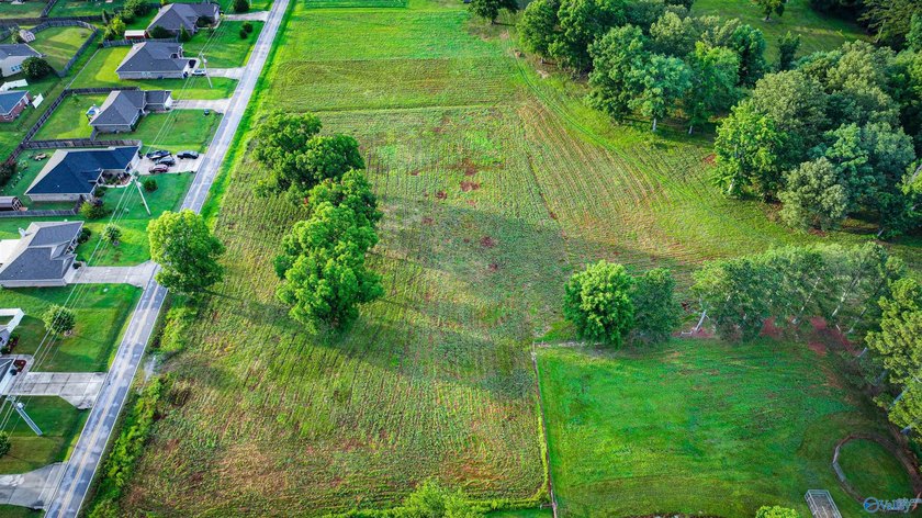 Discover 13.22 unrestricted acres with endless possibilities! - photo 4