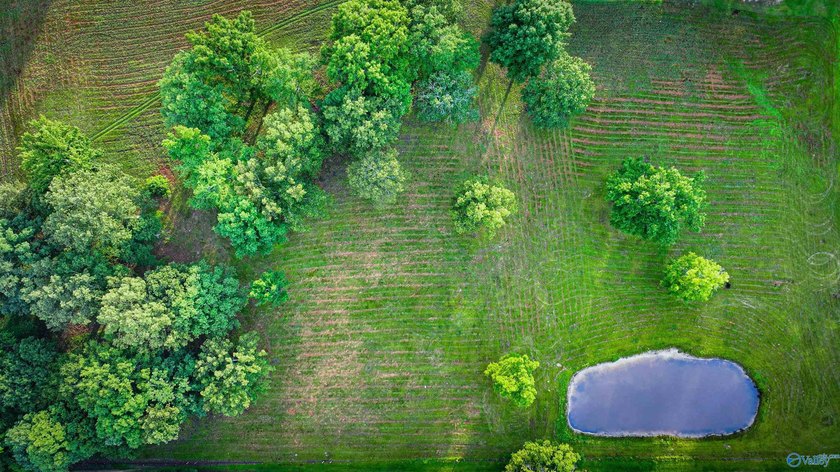 Discover 13.22 unrestricted acres with endless possibilities! - photo 6