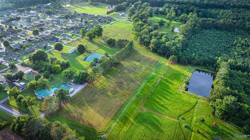Discover 13.22 unrestricted acres with endless possibilities! - photo 7