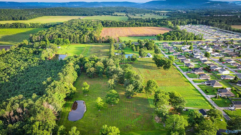 Discover 13.22 unrestricted acres with endless possibilities! - photo 9