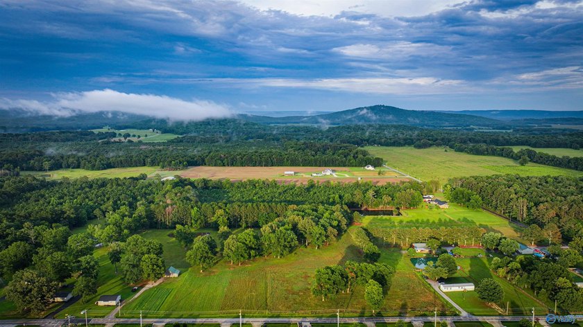 Discover 13.22 unrestricted acres with endless possibilities! - photo 10