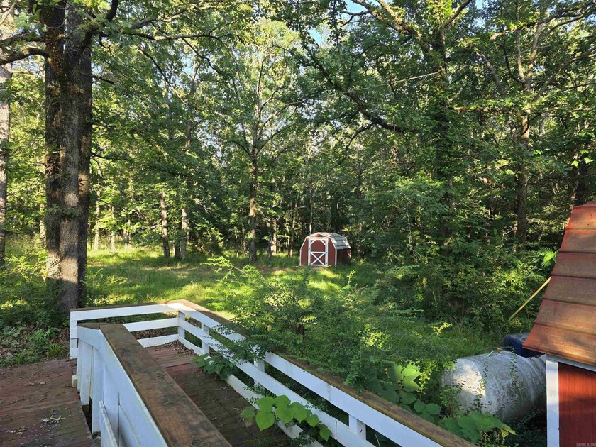 A rare find in Mena - a rustic home on 5 beautiful acres with - photo 4