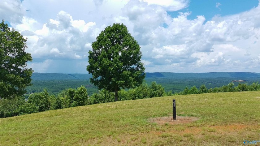 Build your dream home on these two adjoining lots totaling 2.49 - photo 2